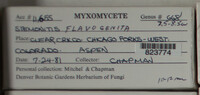 Image Associated With the Occurence